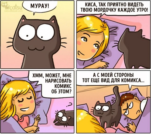 Как меняется жизнь, если у вас завелся кот