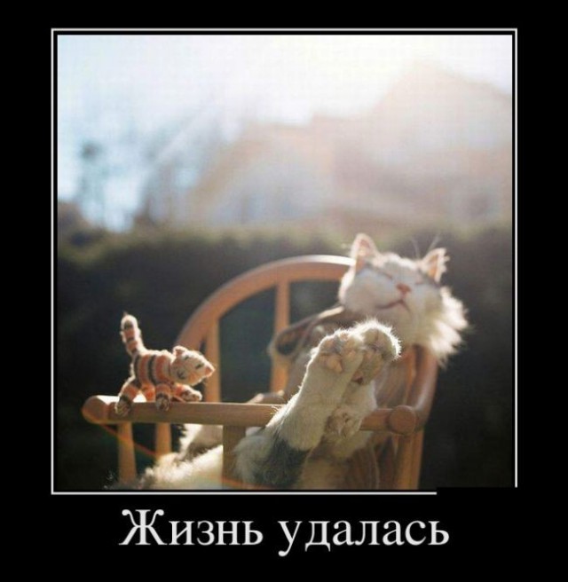 Картинки, весело, чернуха, не везде.