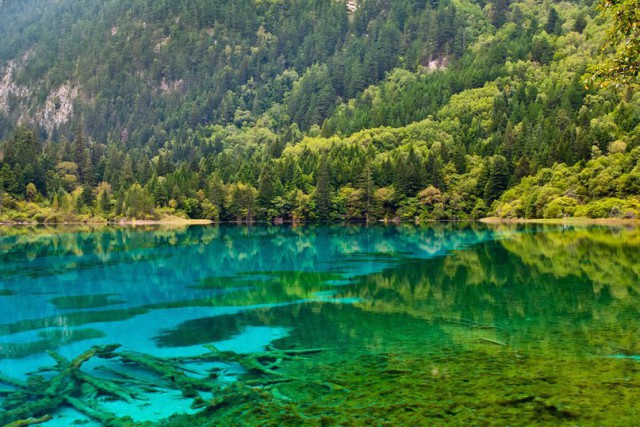 Моменты, запечатлённые на фото и просто позитив 5