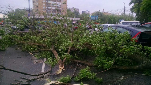В Москве ураган!