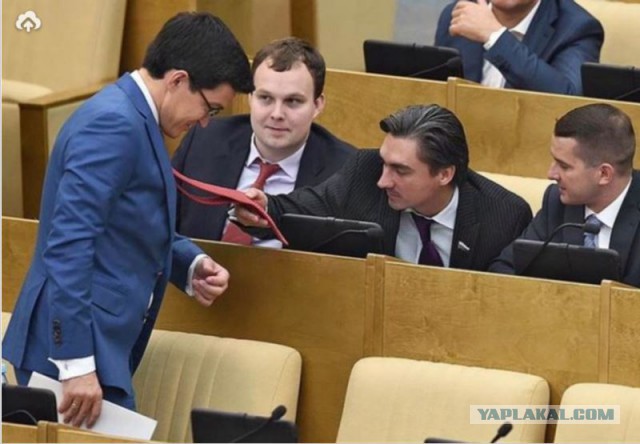 Ох и нелёгкая эта работа - быть депутатом