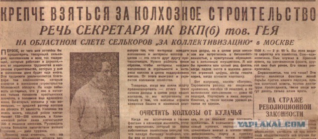 Куда делись фамилии?