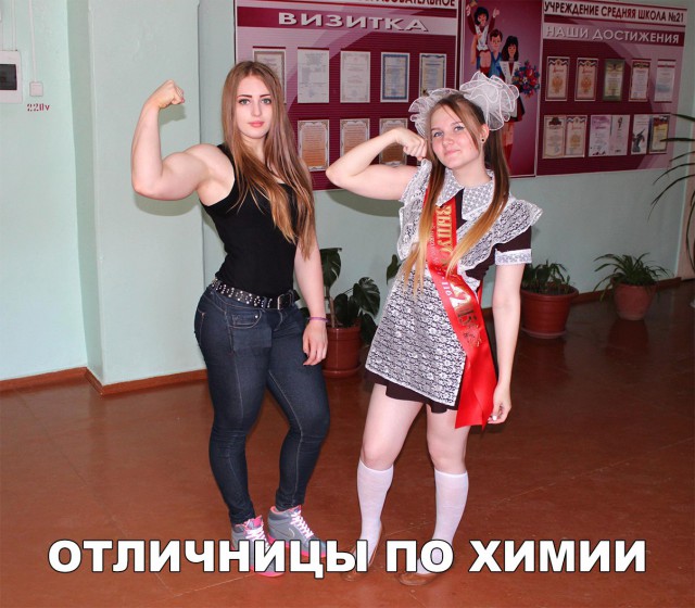 Прикольные картинки обо всём