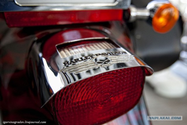 Harley-Davidson крупным планом