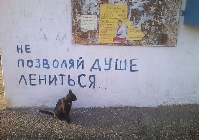 Мысли уличных философов
