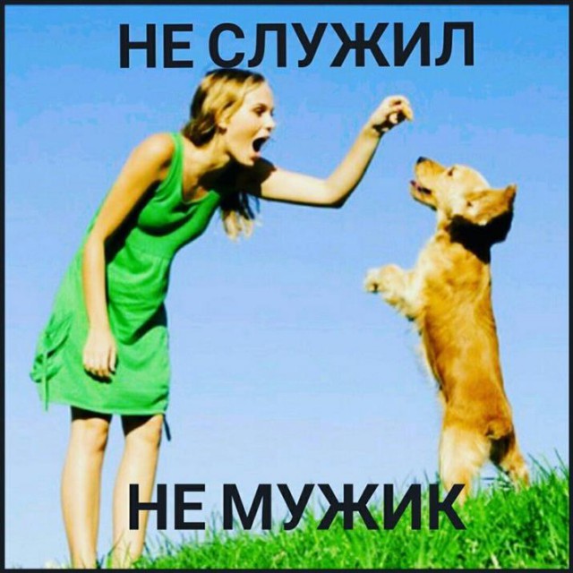 Картинки по-приколу