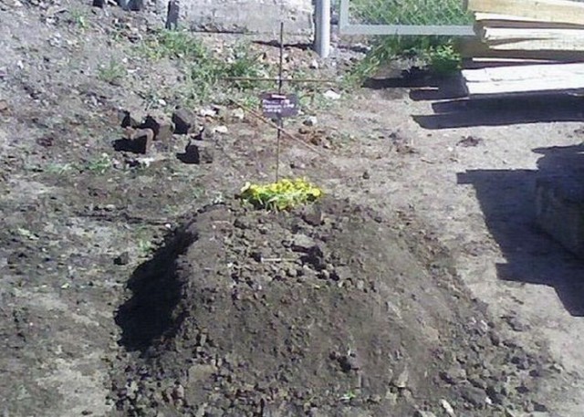 Выловлено в наших сетях