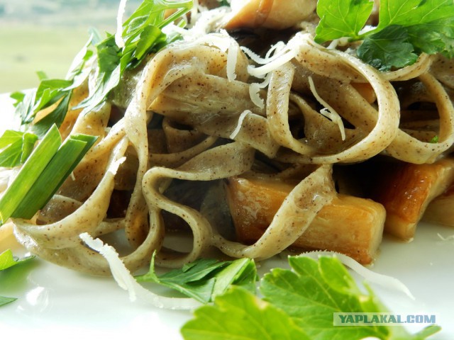 Конопля с грибами