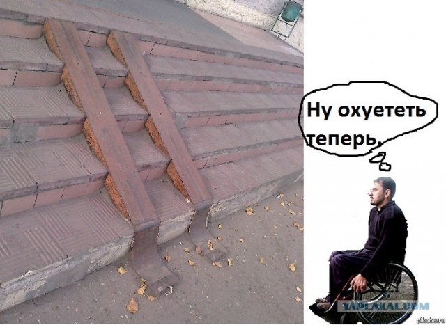 Кошке Энджел сделали коляску