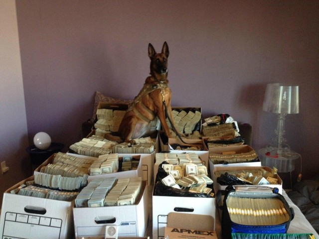 Милые животные. Мимиметр сломался