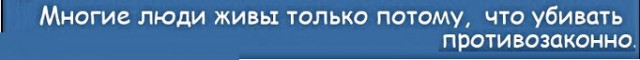 Анекдоты, соц-сети, истории и картинки с надписями