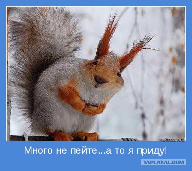 Продолжаю пить. Последствия
