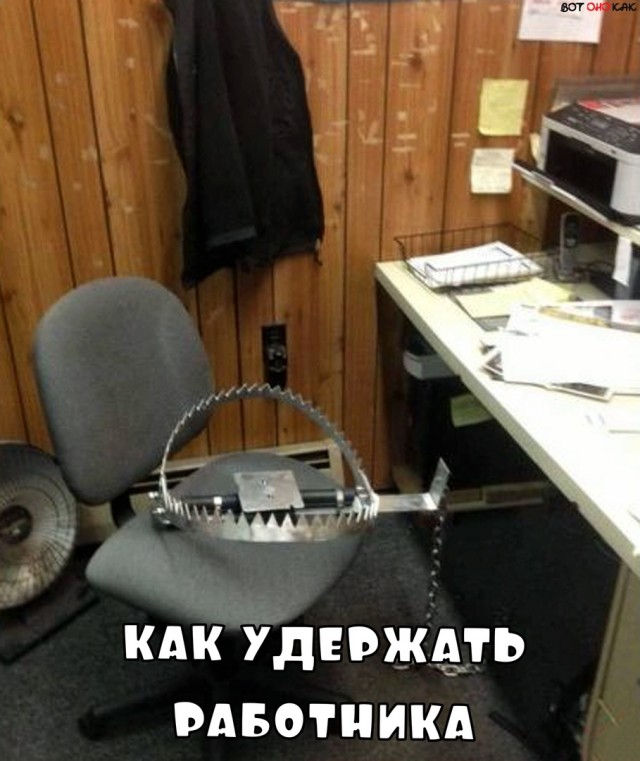 Немного картинок для настроения 26.02.20
