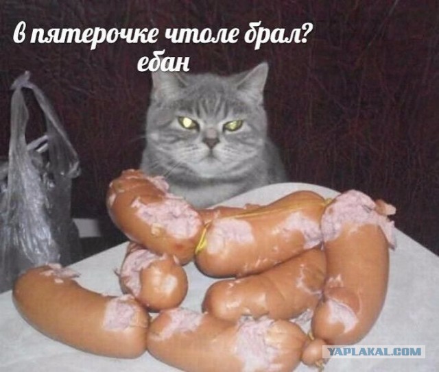Кучка картинок №7