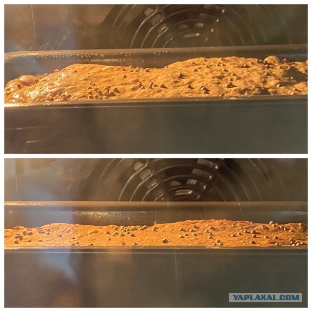 Хлеб заливной с солодом и ржаной мукой