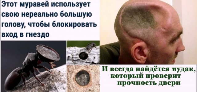 Бредзона 03.09.2020