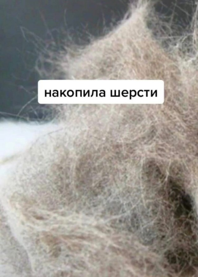 Заказчик немного шокирован