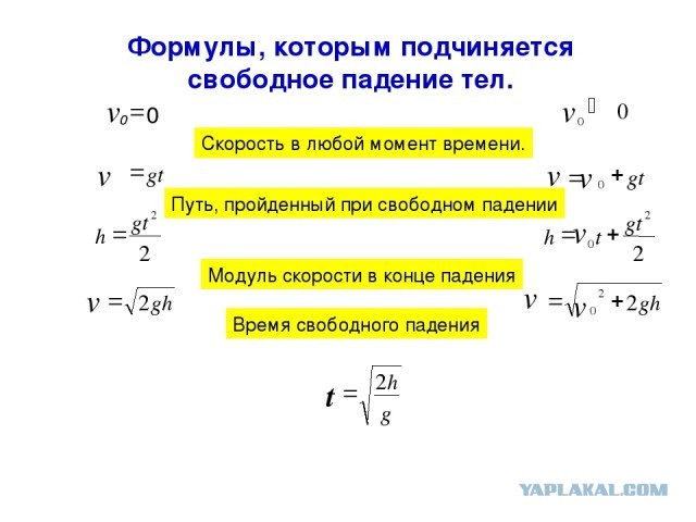 Камера выпала из самолета и приземлилась на свиную ферму