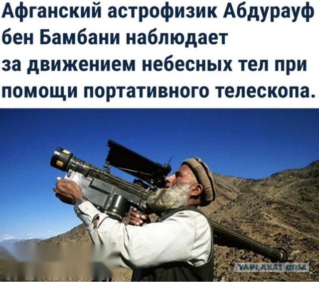 Фотки и картинки: юморные и красивые, забавные и милые 28.10.20