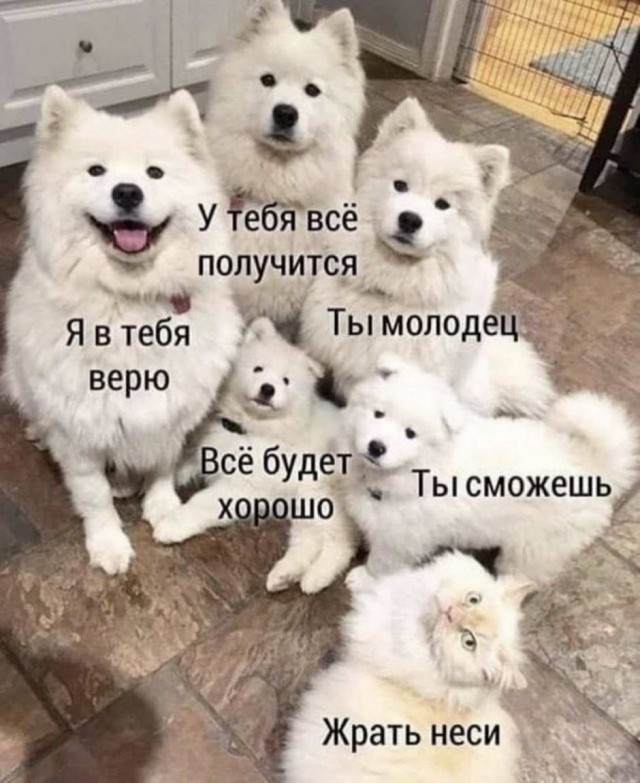 Картинки всякие