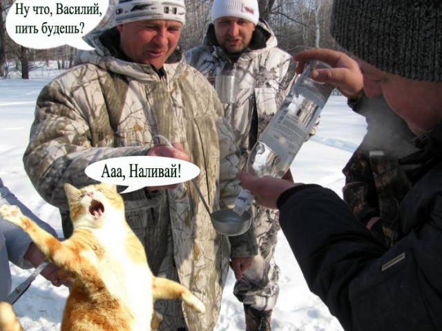 Кот поёт