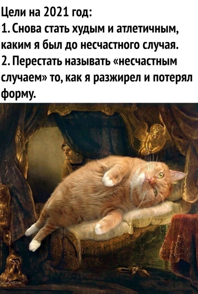 Коты они такие