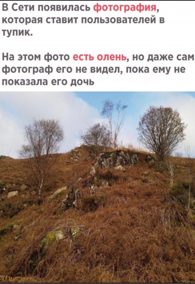 Узнал, что жена подрабатывала девочкой по вызову