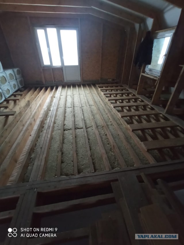 Жизнь домашнего приюта "Котоленд" 269