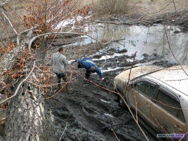 На Шершни в глиноговны