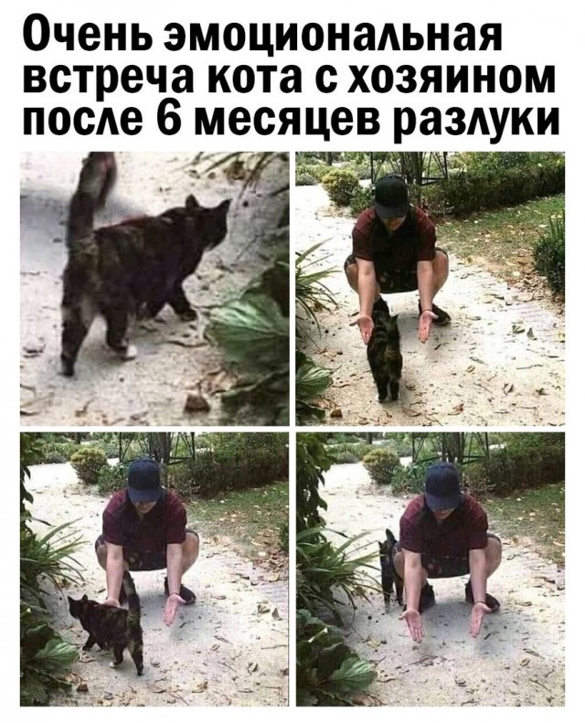 Так себе картинки 01.04.21
