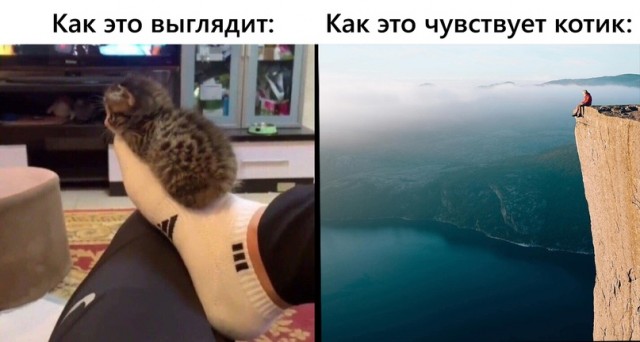 Картинки и мемы для настроения 31.08.2021