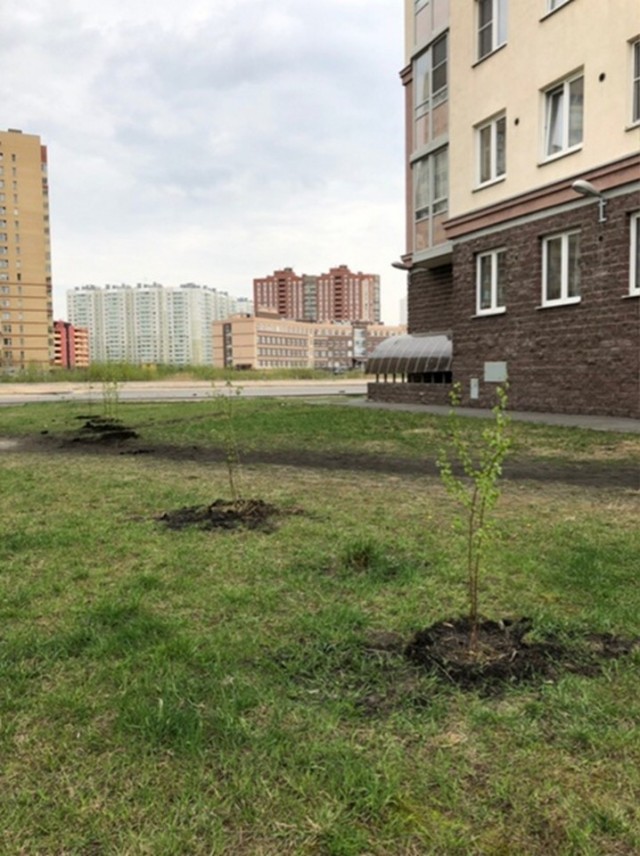 Свежая зелень