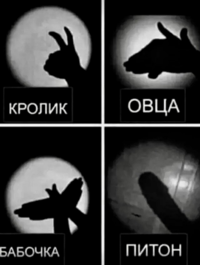 Весёлый полтишок 20.01