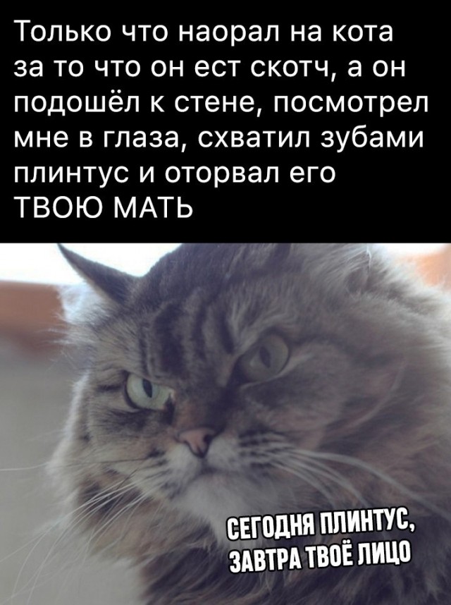 Так себе картинки 16.02.22