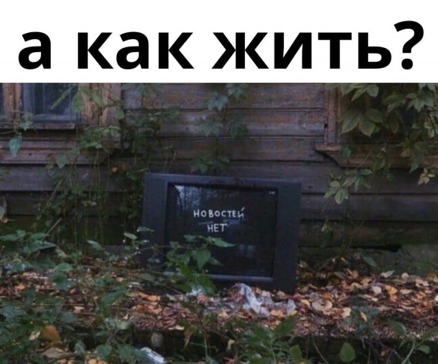 Так себе картинки 23.02.22