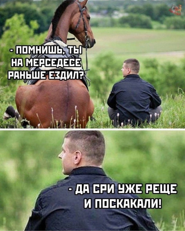 Просто картинки 15.03.2022