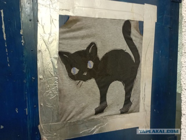 Настенная жизнь обычного завода