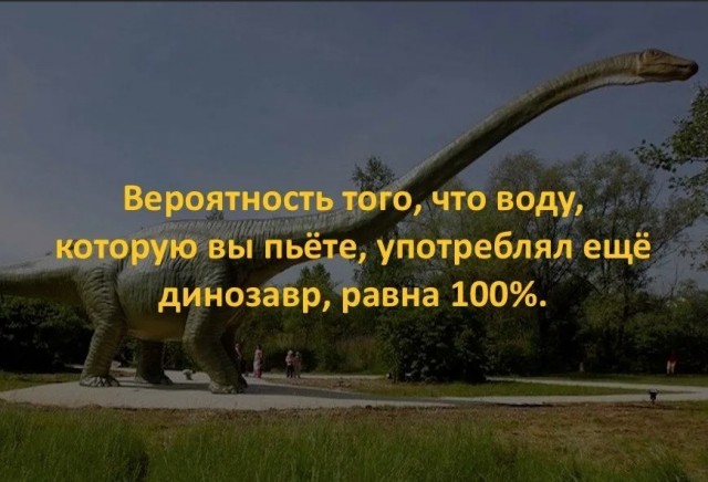 70 удивительных фактов