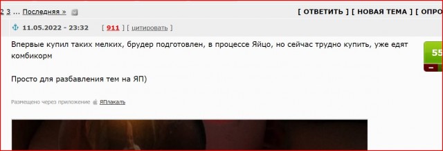 Бройлеры 3 дня (отроду)  до 7кг вырастают
