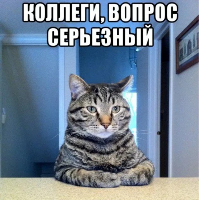 Т-800 и СИБЗ