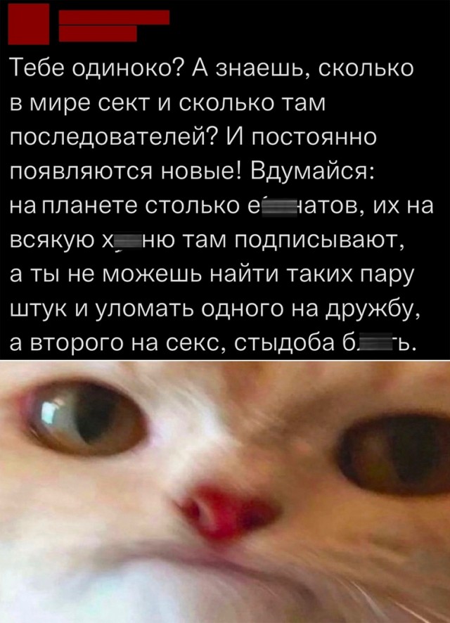 Так себе картинки 09.07.22
