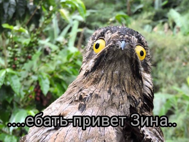 Только с ЗП от 100 000 в месяц или классические запросы одиноких девушек