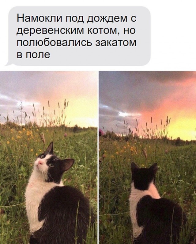 Картинки и мемы для настроения - 03