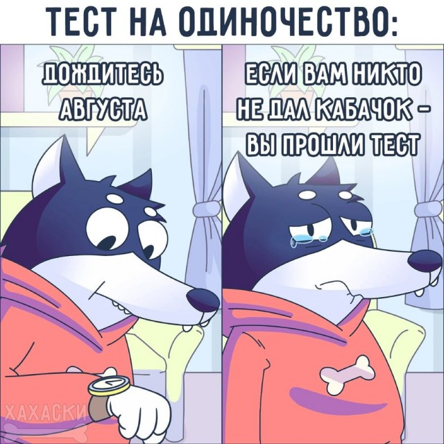 Весёлый полтишок 08.08.22