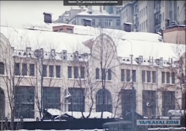 В погоне за Фоксом