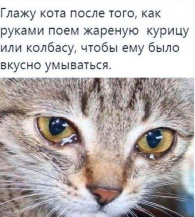 Картинки и мемы. Выходные близко...
