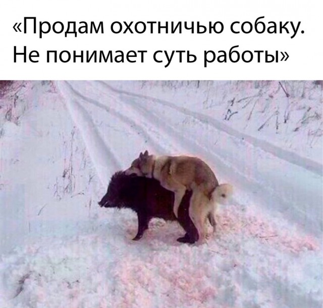 Разнообразного характера мемы