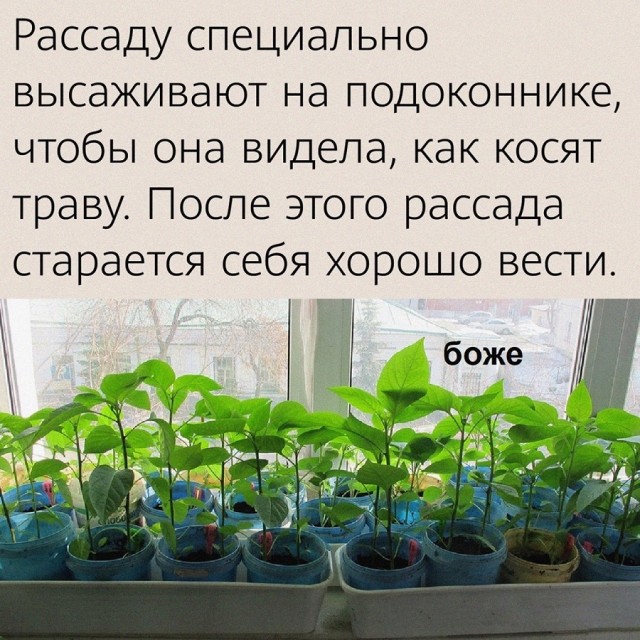 Так себе картинки 02.01.2023