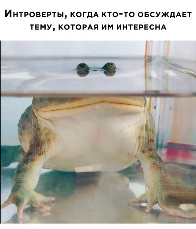 Картинки и мемы, всем хороших выходных
