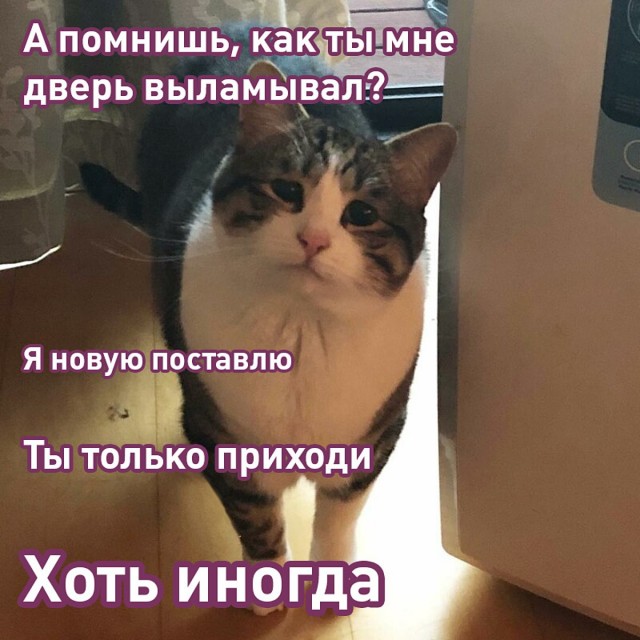 Победная поступь идиотизма по планете – том 9
